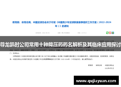 尊龙凯时公司常用十种降压药药名解析及其临床应用探讨 尊龙凯时公司常用十种降压药药名解析及其临床应用探讨